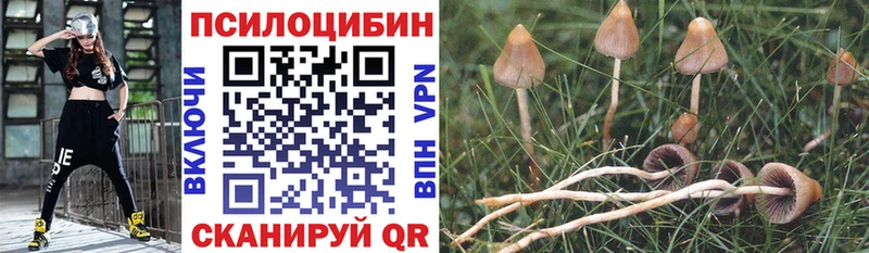 Галлюциногенные грибы Cubensis  даркнет сайт  нарко площадка состав  Самара 