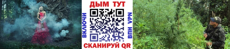 Каннабис AK-47  магазин продажи наркотиков  Самара 